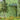 Green glazed brick slips mixed dark and light