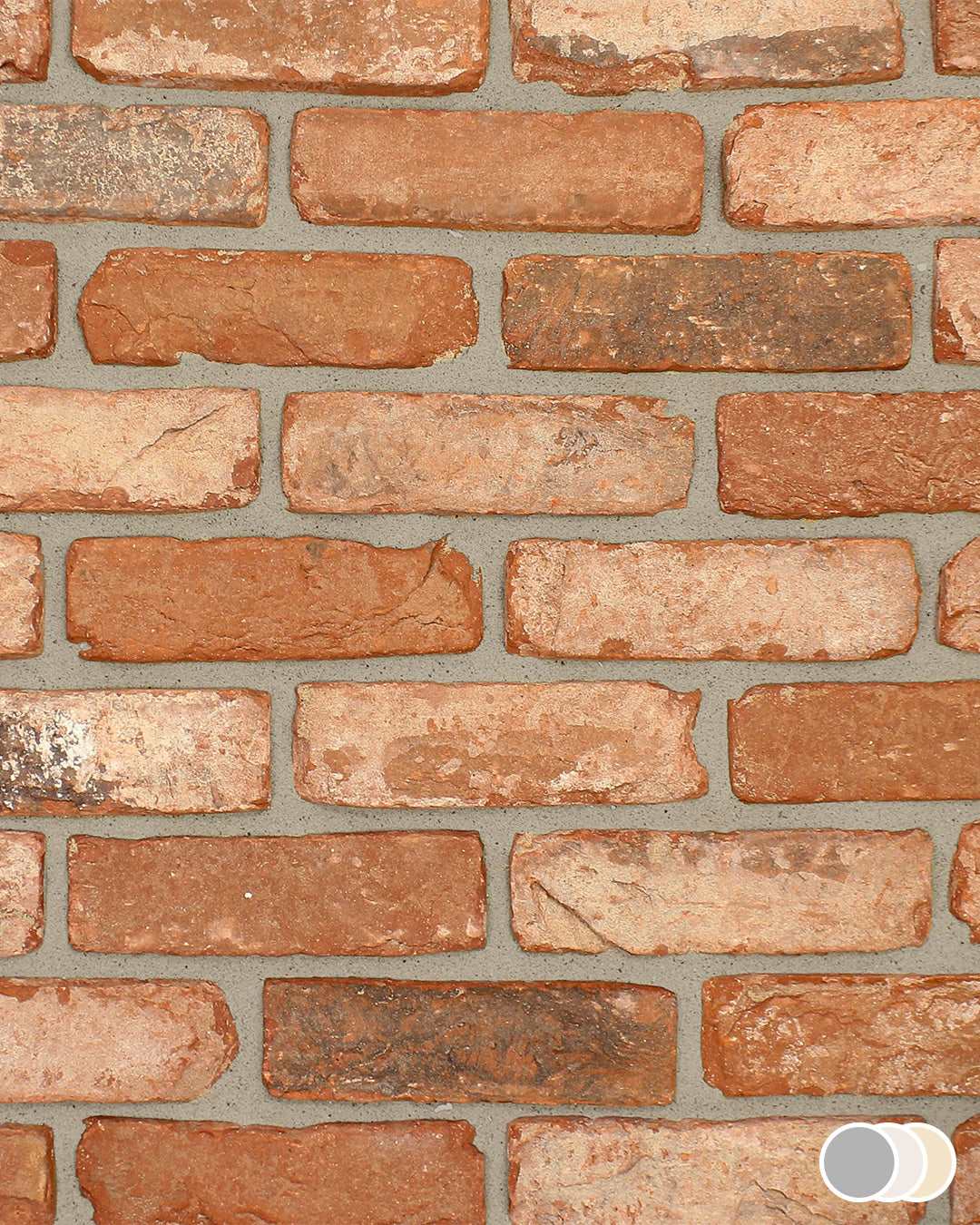 Rustic Red Multi Blend 3 | Rustic Red Multi Brick Slips – The Brick Tile Company