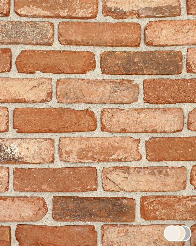 Rustic Red Multi Blend 3 | Rustic Red Multi Brick Slips – The Brick Tile Company