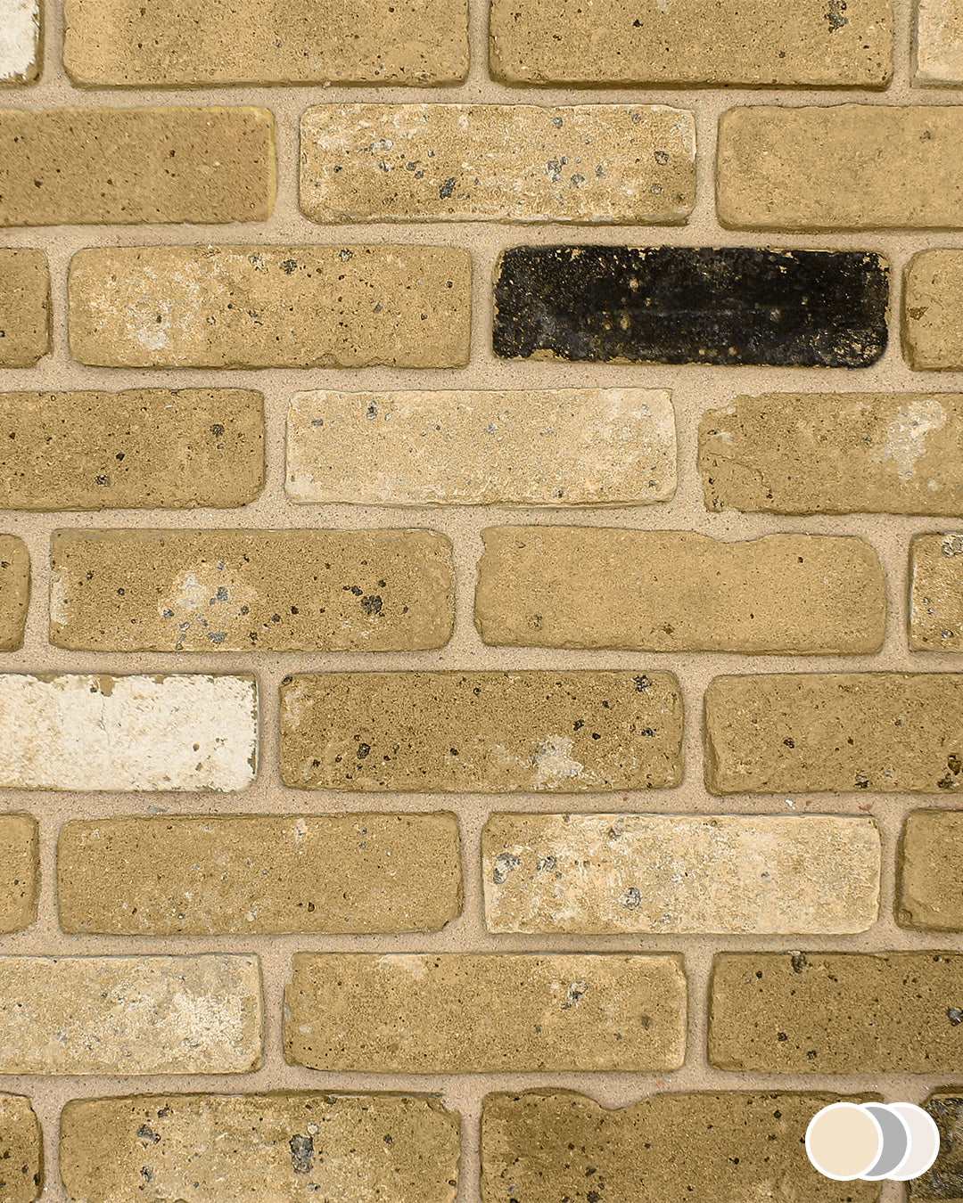 Trinity Block Fall Blend Blend 9 Brick Slips | The Reclaimed Collection – The Brick Tile Company